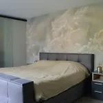 Ermelosche Heide 4* 埃尔默洛