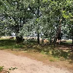 住宿加早餐酒店 Ermelosche Heide 埃尔默洛