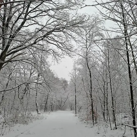 Ermelosche Heide Nocleg ze śniadaniem 4*