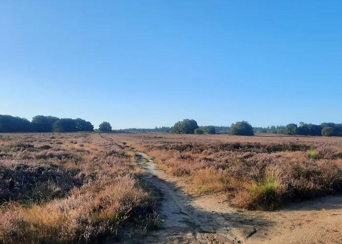 Ermelosche Heide Bed and breakfast Ermelo