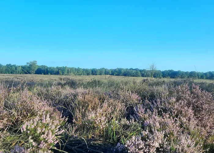 Ermelosche Heide Nocleg ze śniadaniem Ermelo