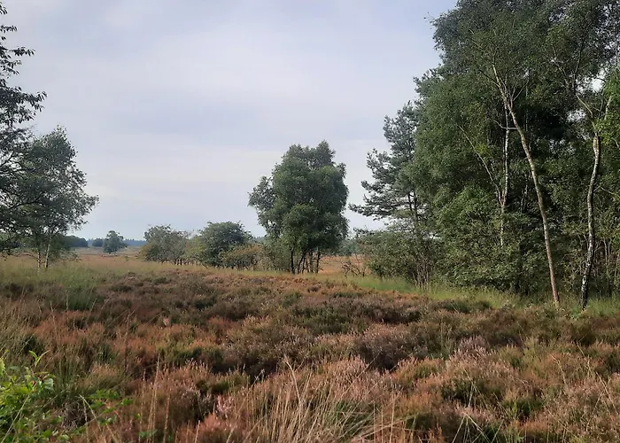 Nocleg ze śniadaniem Ermelosche Heide