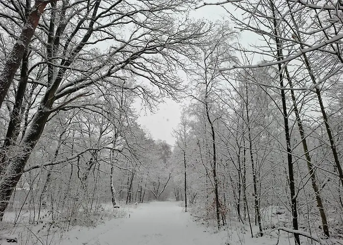 Ermelosche Heide Nocleg ze śniadaniem 4*