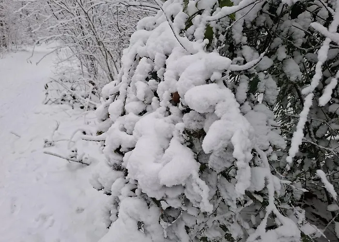 Ermelosche Heide Ermelo