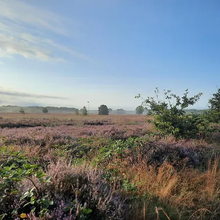 Ermelosche Heide Эрмело
