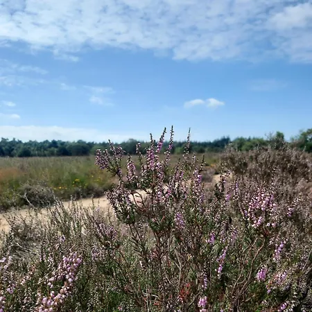 Ermelosche Heide Panzió Ermelo