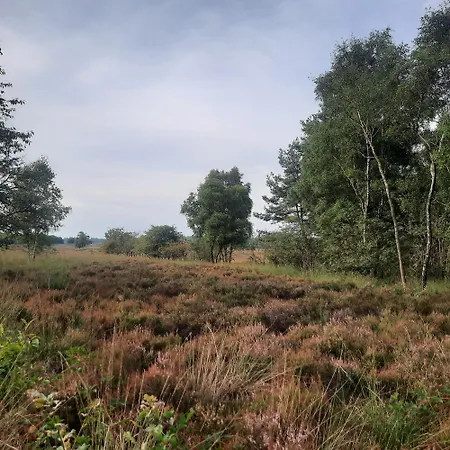 Panzió Ermelosche Heide