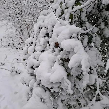 Ermelosche Heide Эрмело