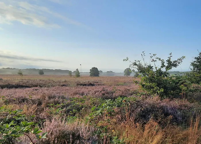 Ermelosche Heide Ermelo